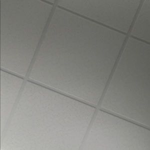 Meet your Posher, Daena